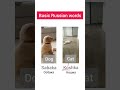 Basic Russian words. Cat / Dog