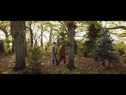 Blackbird - "Christmas Tree" Clip