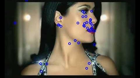 Eye Tracking by SMI: Bee Swarm TV Commercial