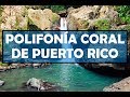 POLIFONÍA CORAL DE PUERTO RICO