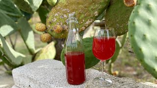 Prickly Pear Wine homemade🍷Cactus Fruit Wine🍾Healthy Homemade Wine NO Sugar Added🤪8.7% Alcohol screenshot 5