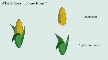 Biodegradable polymers