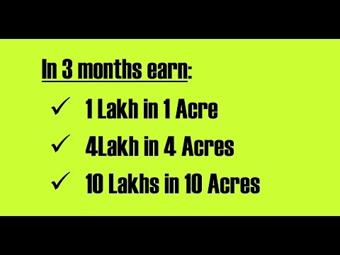 Farming with Zero Cost - Hindi - (Eng Subtitles)| Natural Farming| ZBNF| Rajiv Dixit| PlugInCaroo