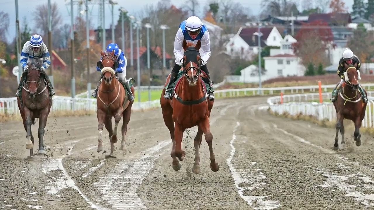 Øvrevoll Galoppbane / 05.11.2023 / 10:50 Cet / Race #1 / 1100Dt / Common Diva Handicap