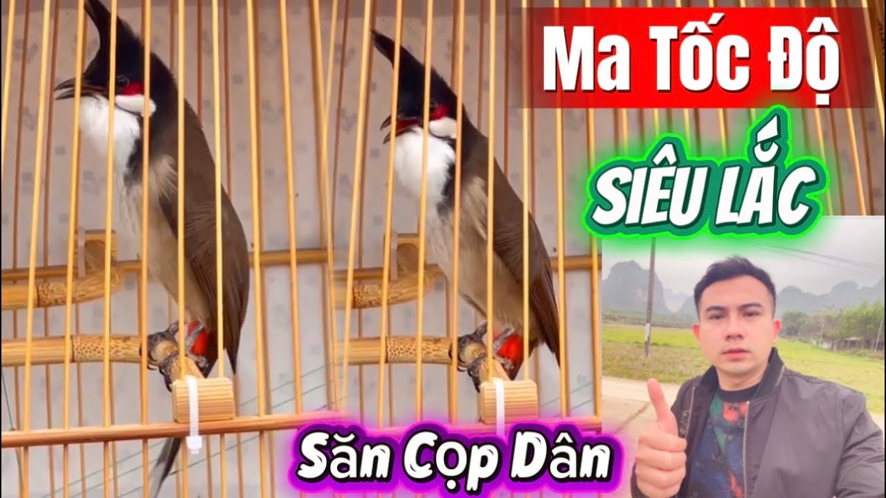 Tuyển 3 CỌP DÂN Hàng Bỏ Bê Hôi Như Chuột Mà Đấu Cực Phê | Có Gan Có Nết Tương Lai Thành Tài