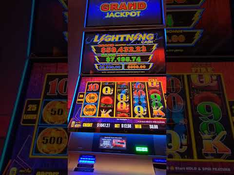 Royal Caribbean Oasis of the Seas! #slotwinner302 #torotoro #slots #royalcaribbeanoasisoftheseas