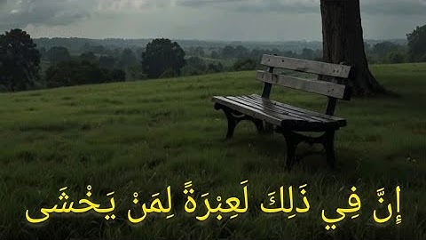 إِنَّ فِي ذَلِكَ لَعِبْرَةً لِمَنْ يَخْشَى | سورة النازعات - أحمد بن طالب