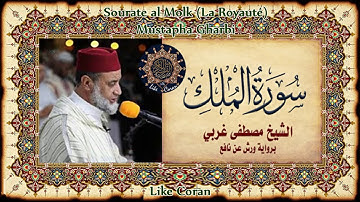 سورة الملك مصطفى غربي