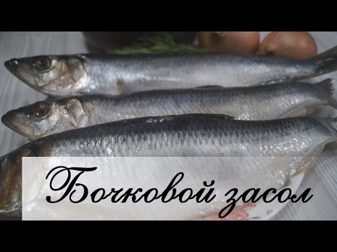 Засолка сельди в банке (Настоящий бочковой засол)