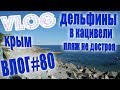 VLOG #80 Дельфины в Кацивели | Котики | Морской Институт / Влог из Крыма