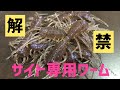 【サイト専用ワーム】【2way】【水中映像あり】釣れすぎるワームが発売された！
