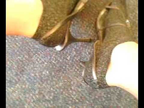 Black and Sllver Ankle socks
