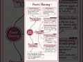 Class 10 Civics Ch 1 Power Sharing | Notes+PYQs 🔥 #class10 #socialscience #sst #notes