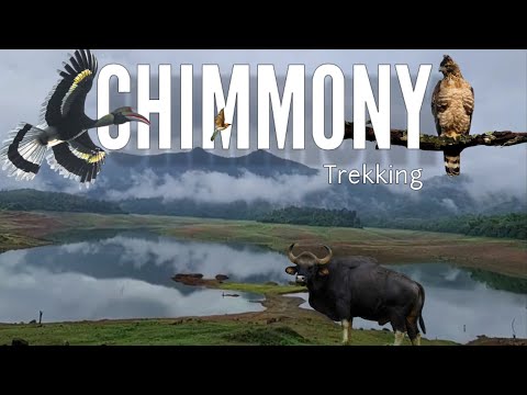 Chimmony forest trekking |4K UHD| Trekking through the Trails of Chimmony Wildlife Sanctuary