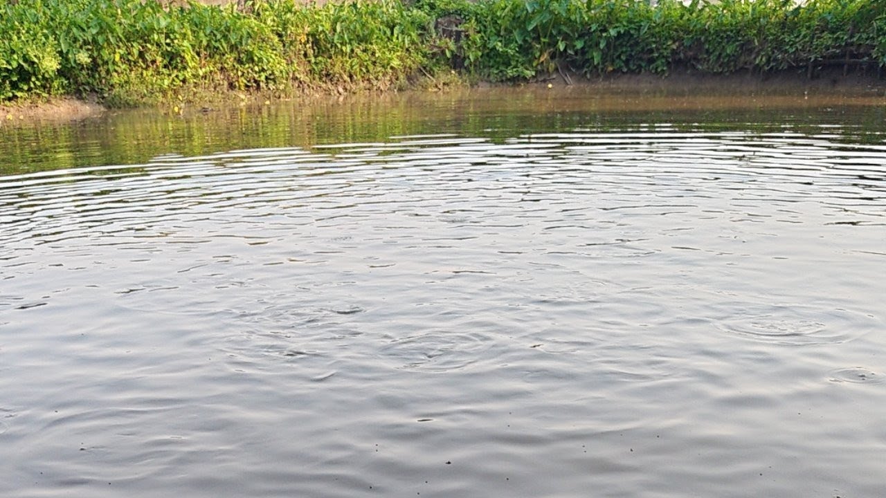 TRENDING ITISHREE is live