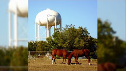 City of Colleyville: Success in the Suburbs