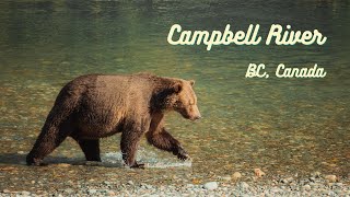 We Went on a Grizzly Bear Tour in BC, Canada | 48 Hours in Campbell River