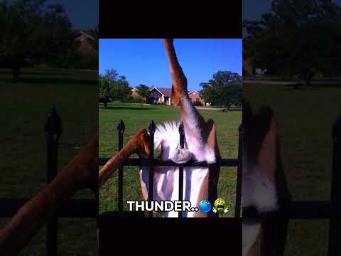 I Was Lighting Before The Thunder PART 2 Funny Helpmemakethismakesense Memes Imaginedragons 