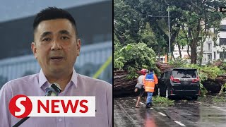 Penang Local Councils Ordered To Inspect Trees After Jalan Macalister Incident