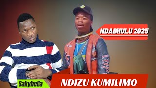 Ndizu Kumilimo Song Ndabhulu 2025 Nyimbo Mpya 2025 By Mambali Studio 2025 #2025 #kisukuma #2025song