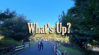 What&#39;s Up? - KARAOKE VERSION - in the style of 4 Non Blondes