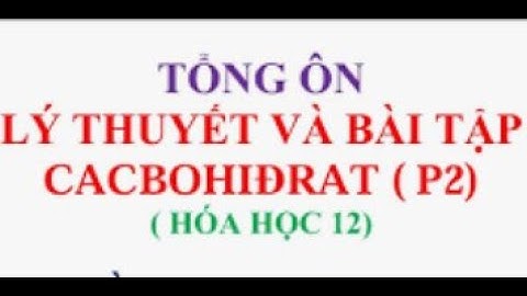 Các bon hidrat không có chức năng nào sau đây năm 2024