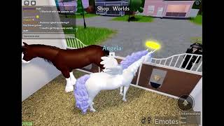 Horse world roleplay with new update