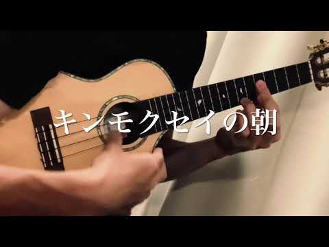 キンモクセイの朝　ウクレレソロ
