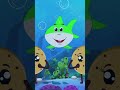 Baby Shark Song by Hello Cookies #trending #nurseryrhymes #kidsongs #viral