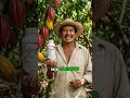 R LLENITO Cacao
