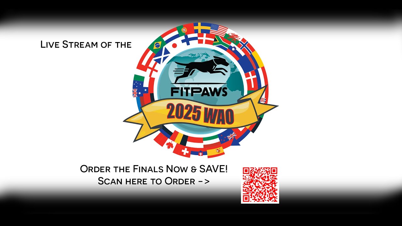 Открытый чемпионат мира по аджилити 2025 года - Церемония открытия