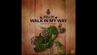 Walk in My Way Abicah Soul Remix