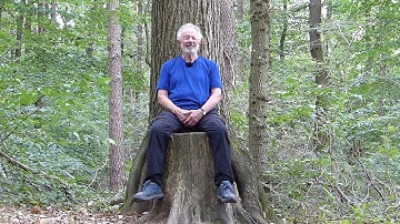 Microcosmic Orbit with Trees - Sitting in the Tree Microcosmic Orbit Meditation 7/8