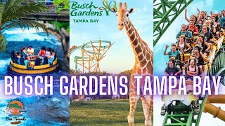 Busch Gardens Tampa Bay | The Best Theme Park in Florida? 🌴