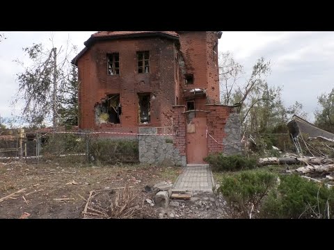 Видео: Про обстріли попереджав кіт: як мешканець Борщової пережив окупацію в підвалі.