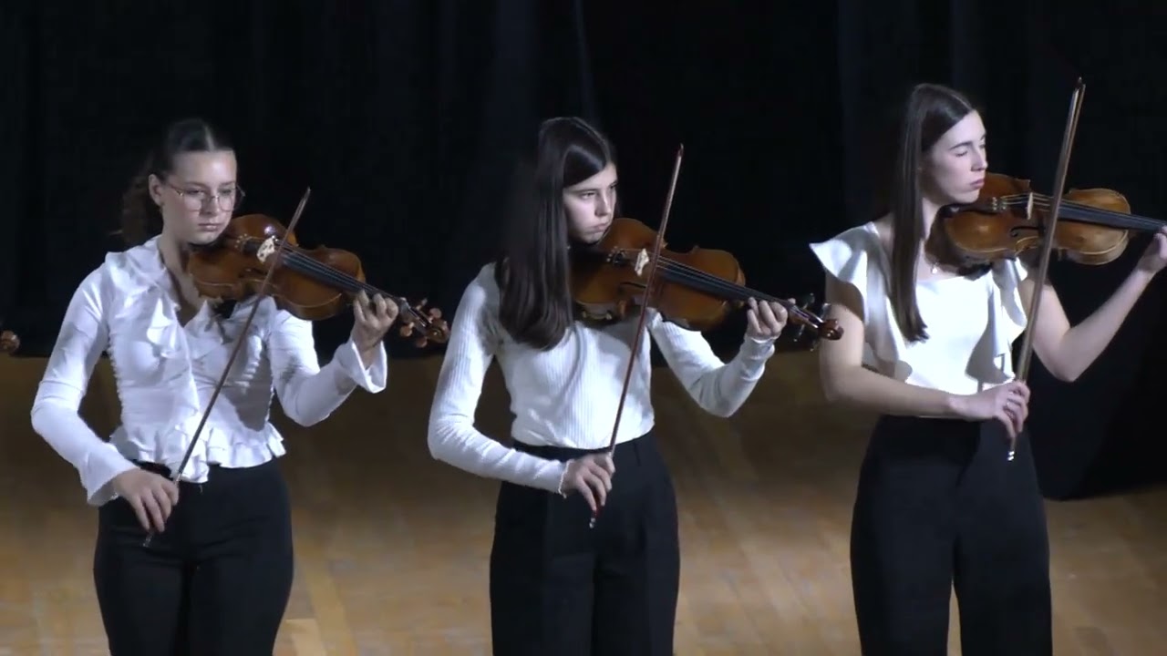 Camerata Piccolo Violín - Concierto en La menor BWV 1041 (Allegro Moderato) J.S. Bach.