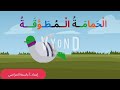 الحمامة المطوقة