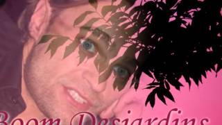 Video thumbnail of "Boom Desjardins j'veux pas villeillr"