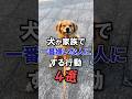 犬にこれされたら嫌われてる