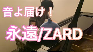 音よ届け！ZARD「永遠」