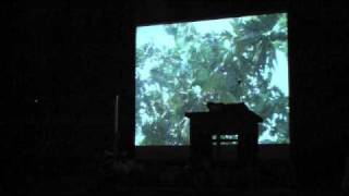 Easter Vigil: Reading 1