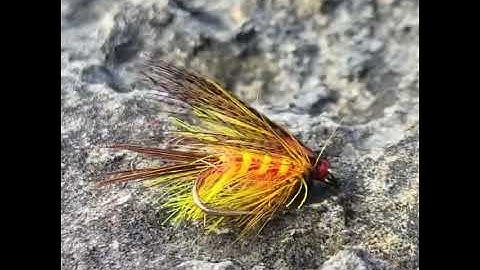 Fly Tying The International Dabbler