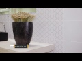 Carbis Keratile — видео