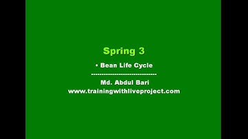 Spring Framework Class Lecture(Bean Life cycle)- Class 12