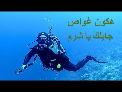 فيديو: كيف تصبح غواص