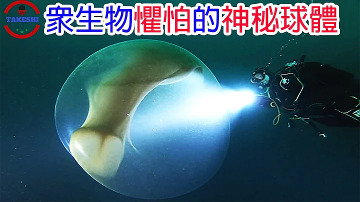[生物放大镜]挪威深海发现众生物不敢靠近的"巨型球体" | 数十年未被破解的谜团 | 令科学家傻眼的答案 - 天天要闻