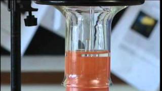 Ammonia fountain experiment