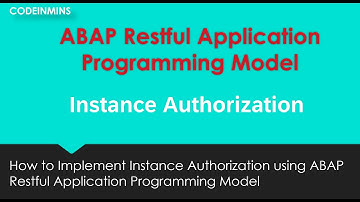 Part 17 : ABAP Restful Application Programming Model - Instance Authorization