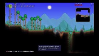 Terraria_2021040109_me