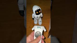 Intelligent toy robot